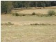 . Ruby Flats Road, Ringarooma TAS 7263