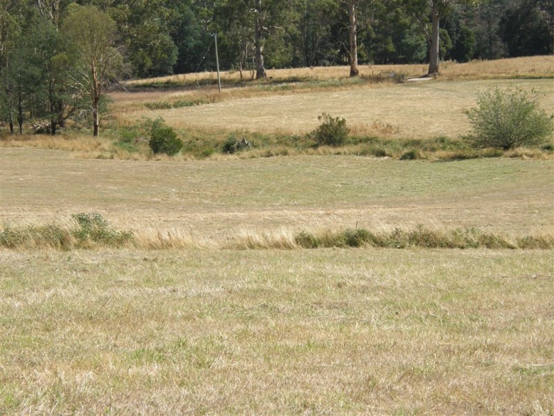 . Ruby Flats Road, Ringarooma TAS 7263