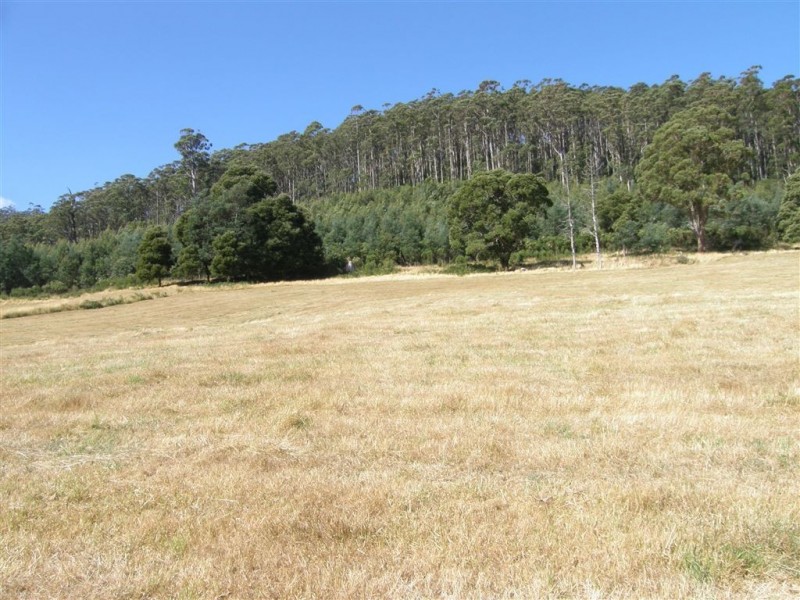 . Ruby Flats Road, Ringarooma TAS 7263