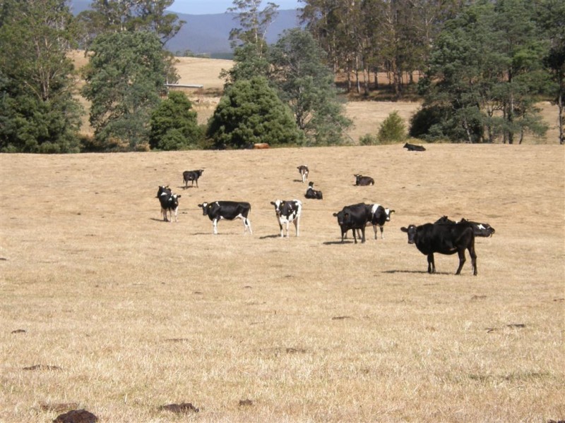 . Ruby Flats Road, Ringarooma TAS 7263