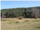 . Ruby Flats Road, Ringarooma TAS 7263