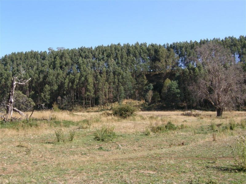 . Ruby Flats Road, Ringarooma TAS 7263