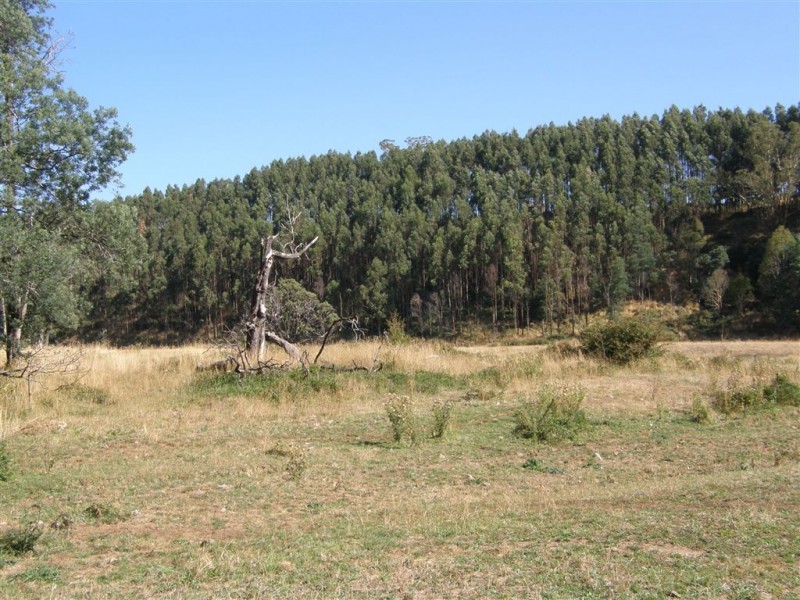 . Ruby Flats Road, Ringarooma TAS 7263