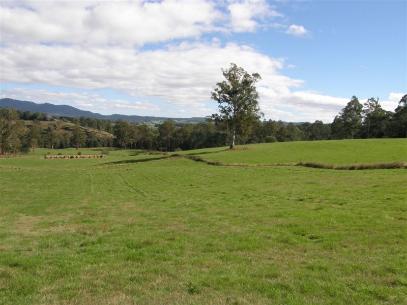 . Ruby Flats Road, Ringarooma TAS 7263