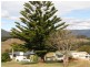 3a Alice Street, Scottsdale TAS 7260