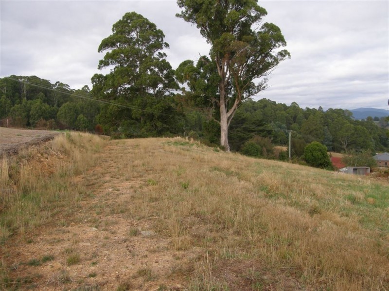 Lot 14 Short Street, Branxholm TAS 7261