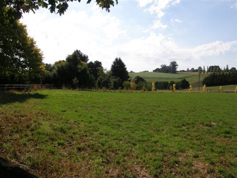 461 Bridport Road, Jetsonville TAS 7260