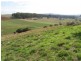 461 Bridport Road, Jetsonville TAS 7260