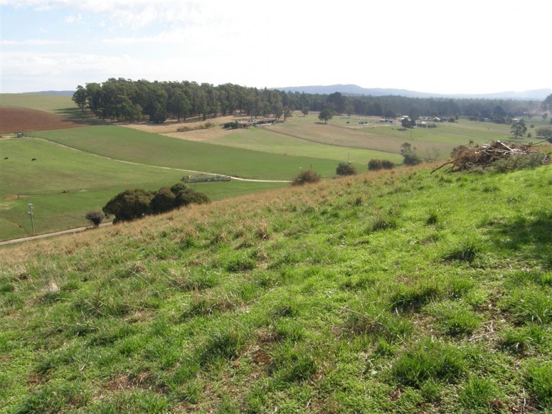 461 Bridport Road, Jetsonville TAS 7260