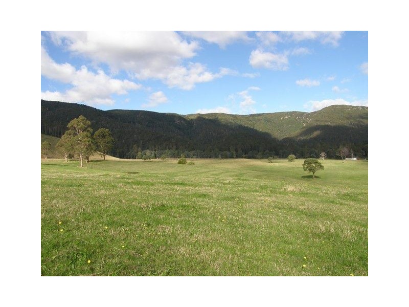 1140 New River Road, Ringarooma TAS 7263