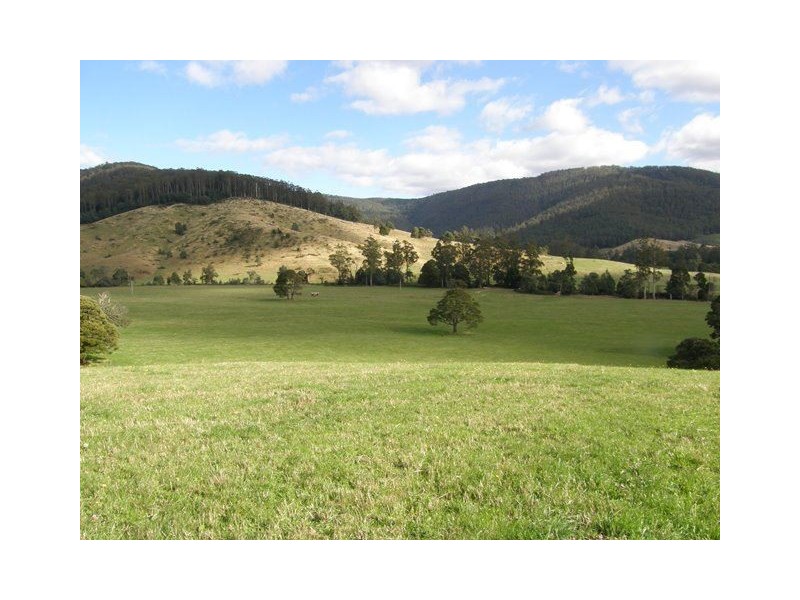 1140 New River Road, Ringarooma TAS 7263