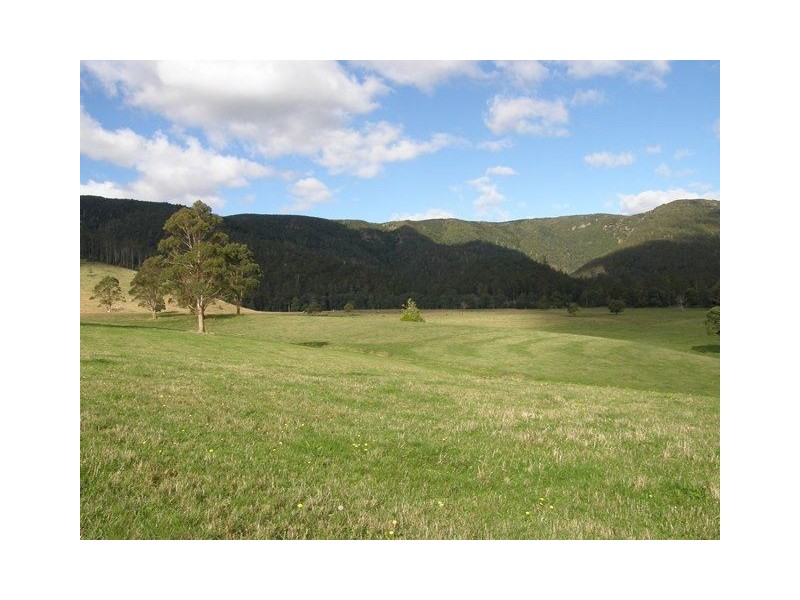1140 New River Road, Ringarooma TAS 7263