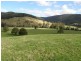 1140 New River Road, Ringarooma TAS 7263