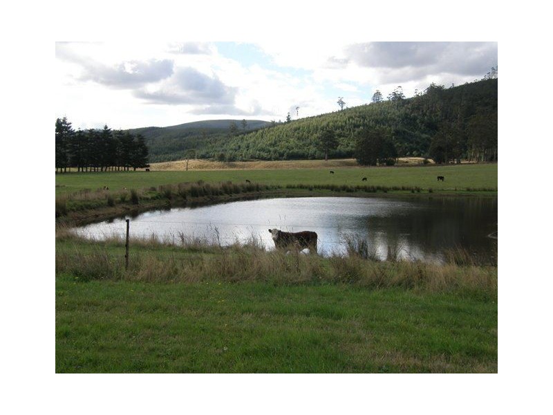 1140 New River Road, Ringarooma TAS 7263