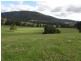 1140 New River Road, Ringarooma TAS 7263