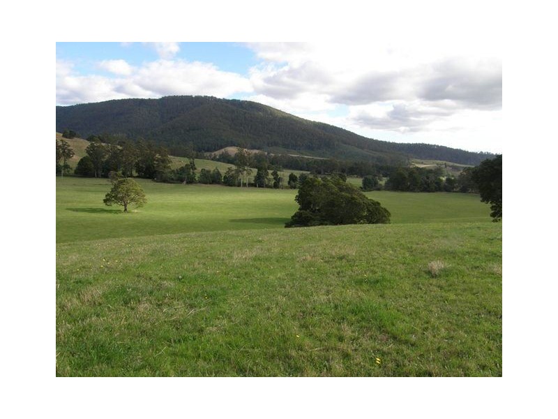 1140 New River Road, Ringarooma TAS 7263
