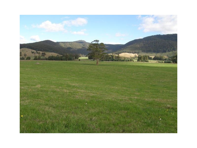 1140 New River Road, Ringarooma TAS 7263