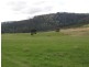 1140 New River Road, Ringarooma TAS 7263