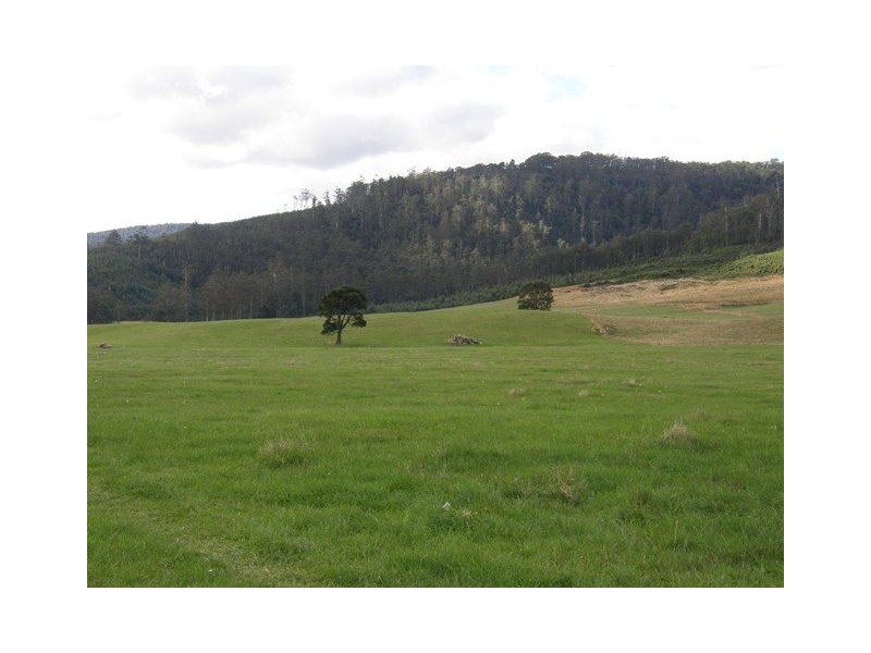 1140 New River Road, Ringarooma TAS 7263