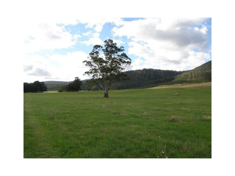 1140 New River Road, Ringarooma TAS 7263