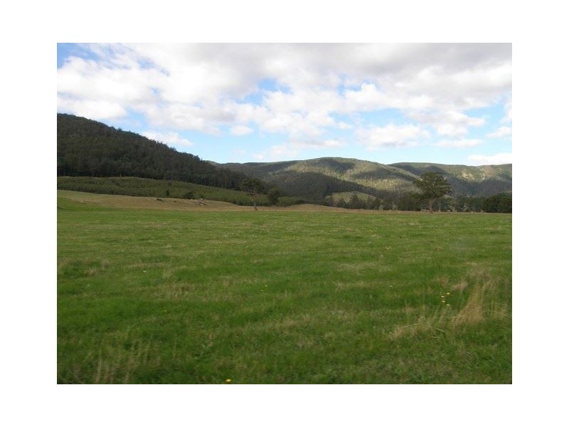 1140 New River Road, Ringarooma TAS 7263
