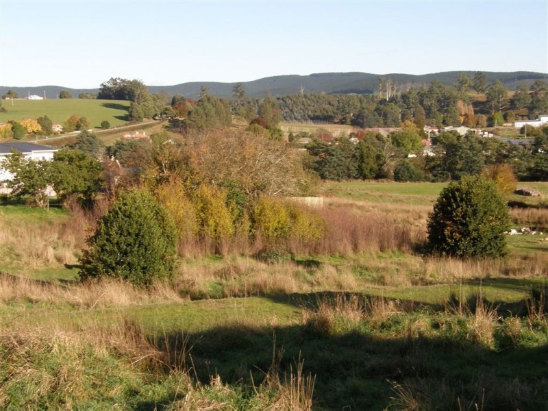 17 Pearce Street, Branxholm TAS 7261