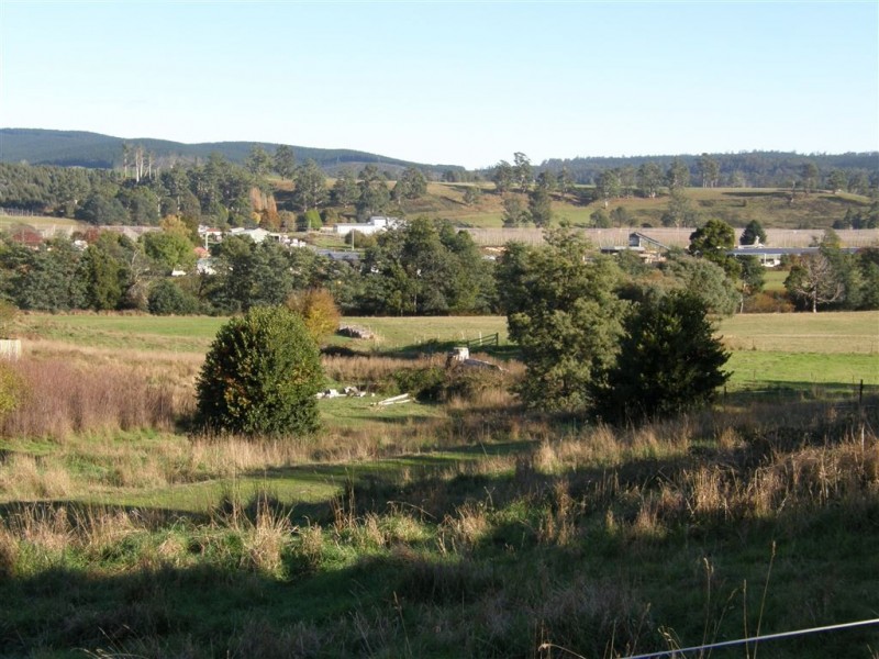17 Pearce Street, Branxholm TAS 7261