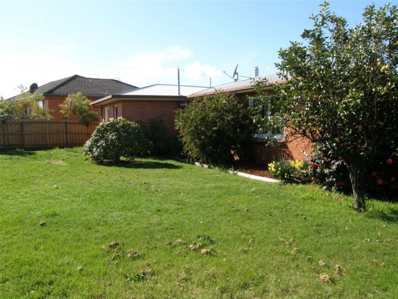 16 McLennan Street, Scottsdale TAS 7260