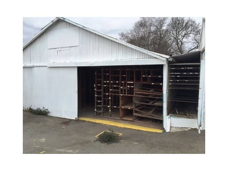 16 Alfred Street, Scottsdale TAS 7260