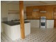 10 Button Street, Scottsdale TAS 7260