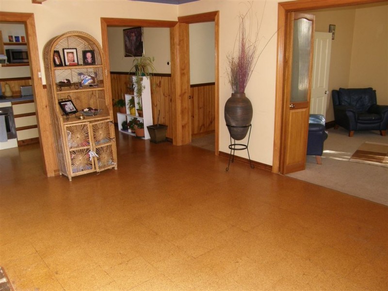 53 Arthur Street, Scottsdale TAS 7260