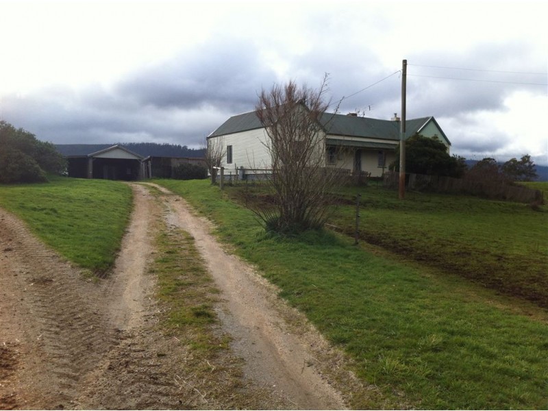 261 Ringarooma Rd, Ringarooma TAS 7263