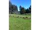 72 Carisbrook Lane, Legerwood TAS 7263