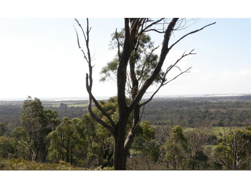 Lot 2 Barnbougle Road, Bridport TAS 7262