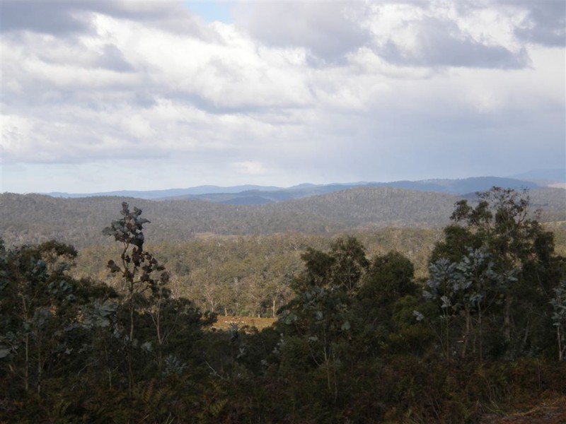 Lot 2 Barnbougle Road, Bridport TAS 7262