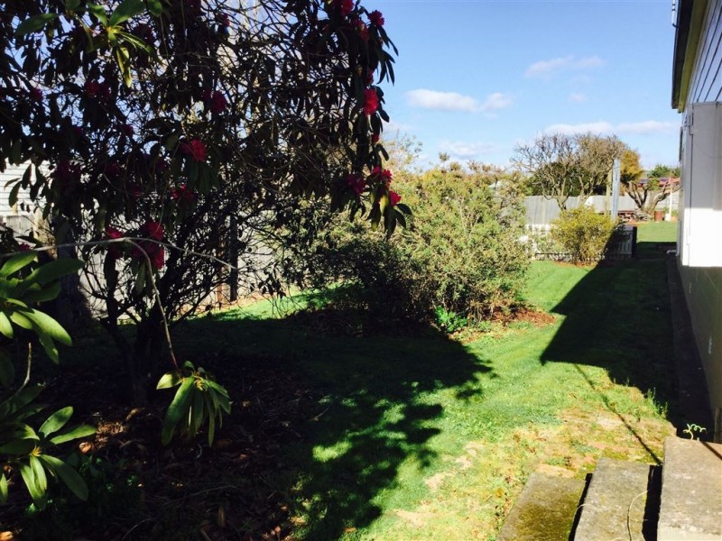 19 William Street, Scottsdale TAS 7260