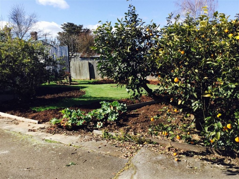 19 William Street, Scottsdale TAS 7260