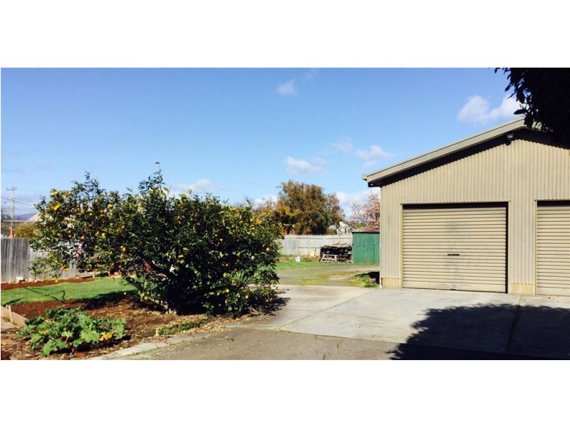 19 William Street, Scottsdale TAS 7260