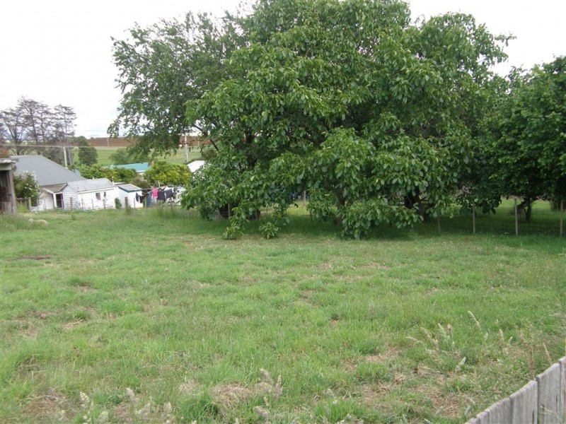 1 Scott Street, Scottsdale TAS 7260