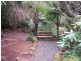 - Brown Mountain Road, Underwood TAS 7268