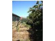 24 Ruby Flats Road, Ringarooma TAS 7263