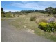 33317 Tasman Highway, Legerwood TAS 7263