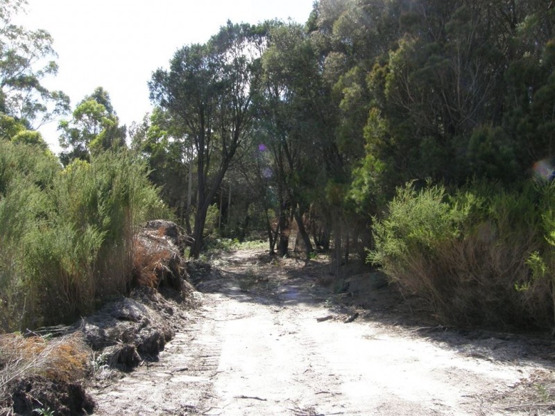 . Gladstone Road, Pioneer TAS 7264