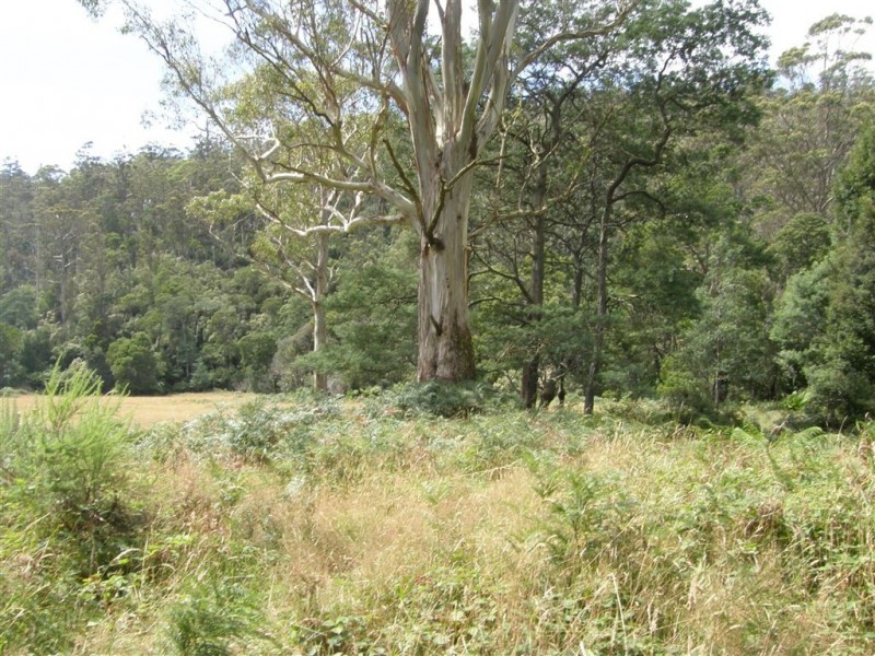 - Alberton Road, Alberton TAS 7263