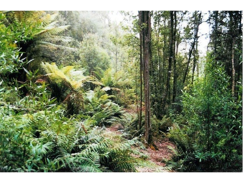 570 Doaks Road, Lilydale TAS 7268