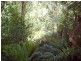 570 Doaks Road, Lilydale TAS 7268