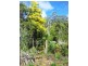 570 Doaks Road, Lilydale TAS 7268