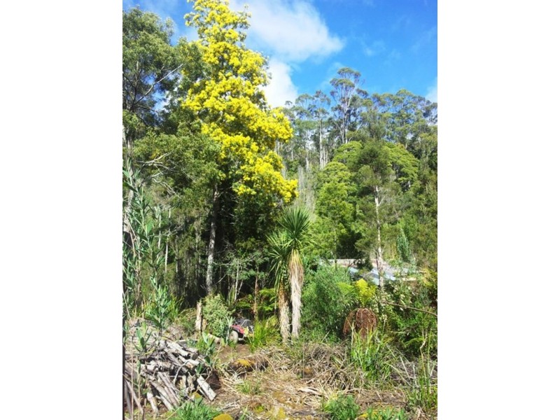 570 Doaks Road, Lilydale TAS 7268