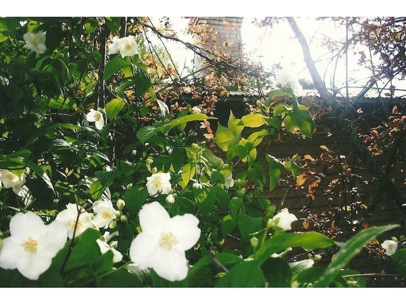 361 Lalla Road, Lalla TAS 7267