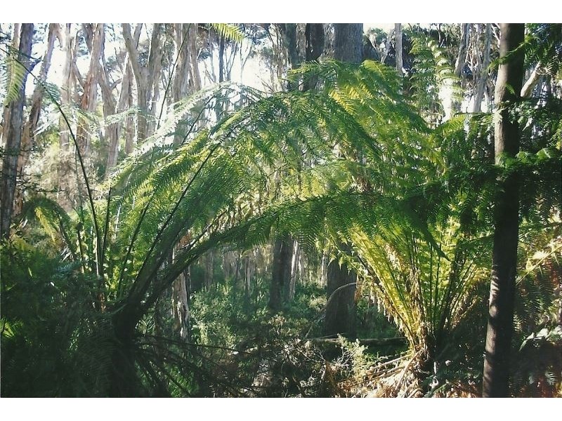 361 Lalla Road, Lalla TAS 7267